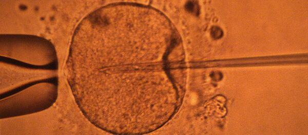 Стволовые клетки - Sputnik Узбекистан