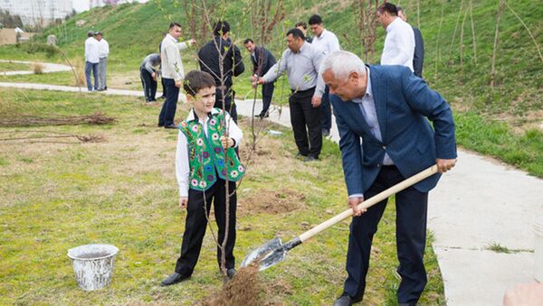 Акция по посадке деревьев - Sputnik Узбекистан