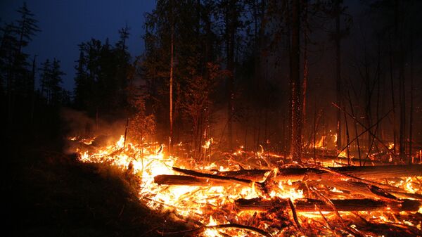 Тушение лесных пожаров - Sputnik Узбекистан