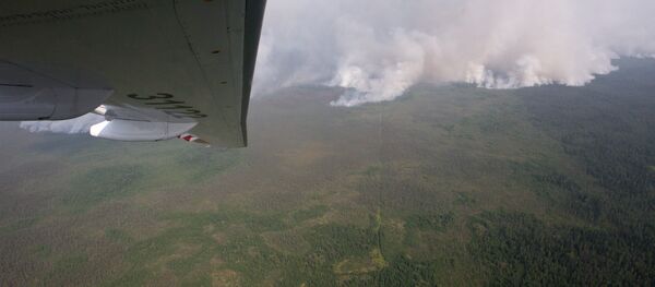 Дым от лесного пожара Дым от лесного пожара - Sputnik Узбекистан