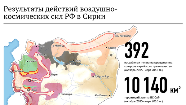 Чего добились российские ВКС в Сирии - Sputnik Узбекистан