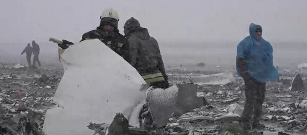 Спасатели собирали обломки Boeing 737-800  в Ростове-на-Дону - Sputnik Узбекистан