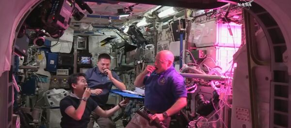 Космическая еда: как астронавты пробовали впервые выращенный на МКС салат - Sputnik Узбекистан