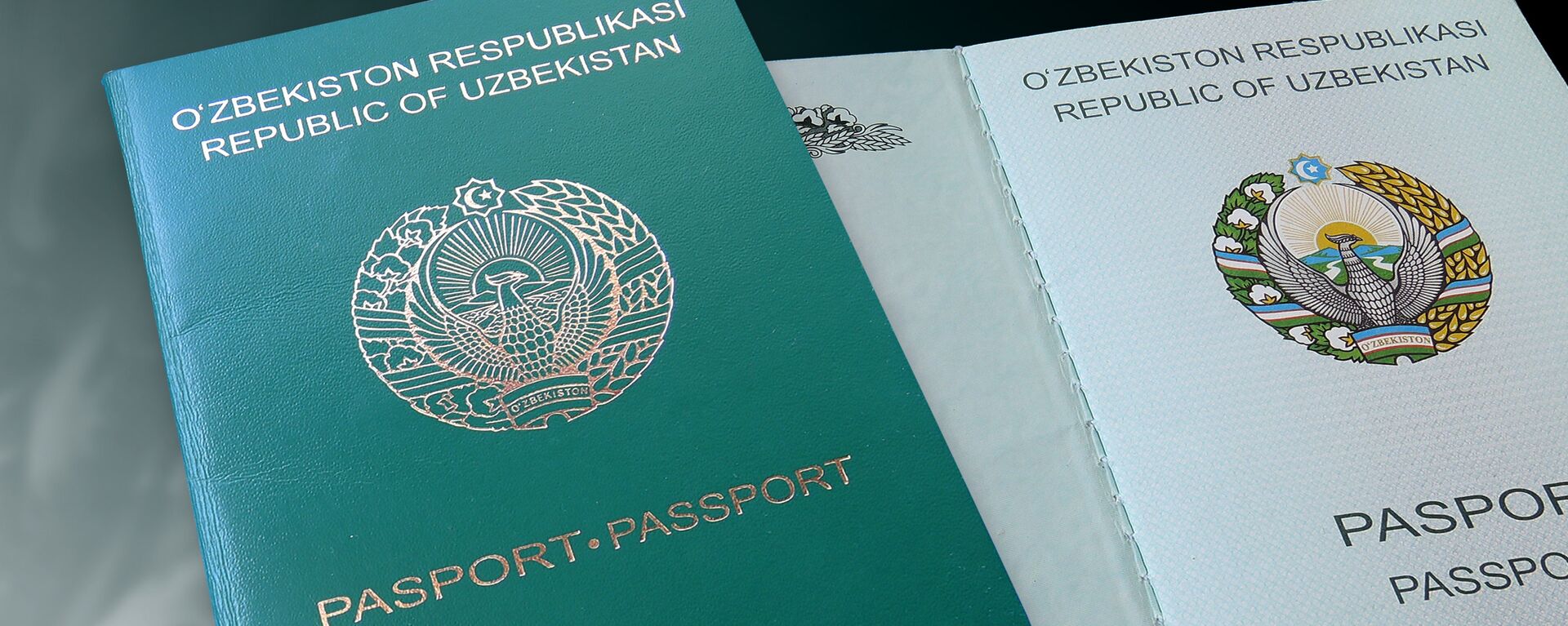 Паспорт гражданина Узбекистана - Sputnik Ўзбекистон, 1920, 02.02.2021