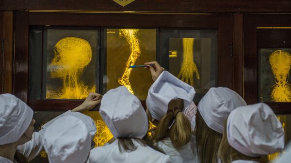 Студенты на занятиях на кафедре анатомии - Sputnik Ўзбекистон