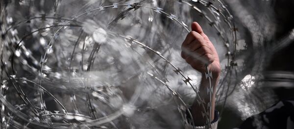 Колючая проволока на границе - Sputnik Узбекистан