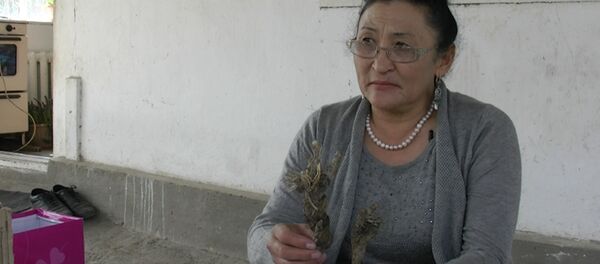 Биолог раскрыла секрет кыргызской виагры, заинтересовавшей немцев - Sputnik Узбекистан