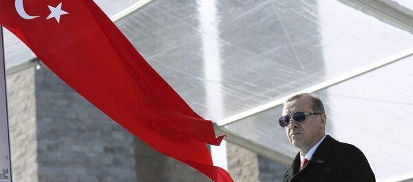 Реджеп Тайип Эрдоган Реджеп Тайип Эрдоган - Sputnik Узбекистан
