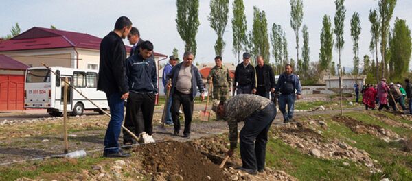 Акция по посадке деревьев в Ташобласти - Sputnik Узбекистан