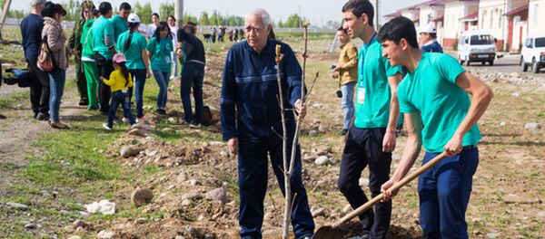 Тошкент вилоятида дарахт кщчатлари экиш Тошкент вилоятида дарахт кщчатлари экиш - Sputnik Ўзбекистон