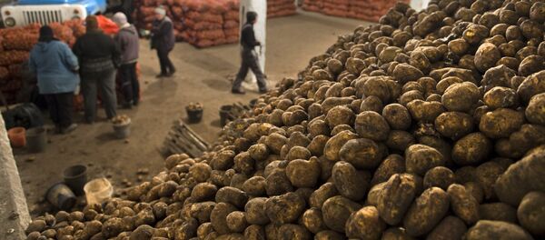 Сабзавот базаси - Sputnik Ўзбекистон