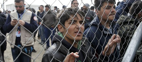 Қочоқлар - Sputnik Ўзбекистон