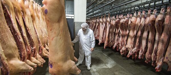 Участок охлаждения, заморозки и хранения мяса. Участок охлаждения, заморозки и хранения мяса. - Sputnik Ўзбекистон