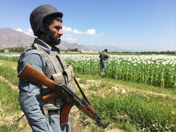 Афганский военный на фоне макового поля Афганский военный на фоне макового поля - Sputnik Узбекистан