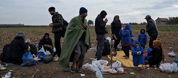 Қочоқлар Қочоқлар - Sputnik Ўзбекистон