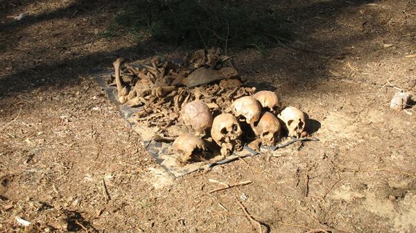 Черепа, найденные весной 2009 года Черепа, найденные весной 2009 года - Sputnik Узбекистан