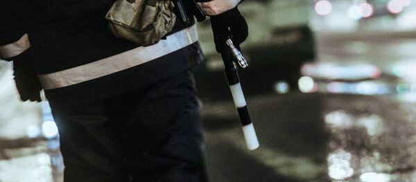 Сотрудник дорожно-патрульной службы - Sputnik Узбекистан