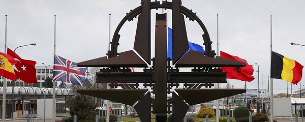 Эмблема NATO Эмблема NATO - Sputnik Ўзбекистон