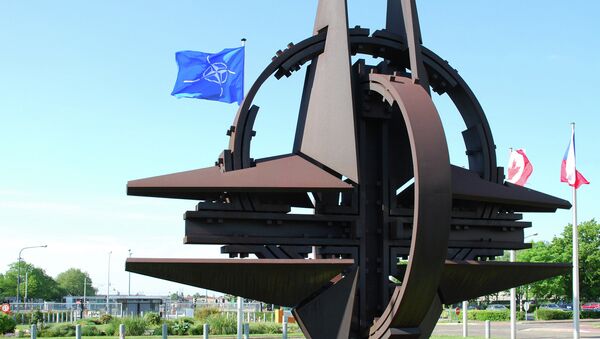 Эмблема NATO - Sputnik Узбекистан