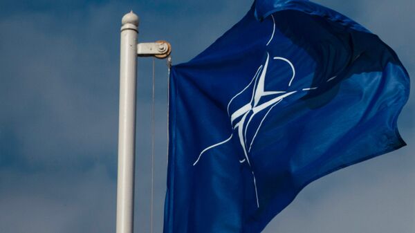 Flag Organizatsii Severoatlanticheskogo dogovora (NATO) - Sputnik O‘zbekiston