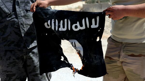 Сирийский военный сжигает флаг ИГ. Архивное фото - Sputnik Узбекистан