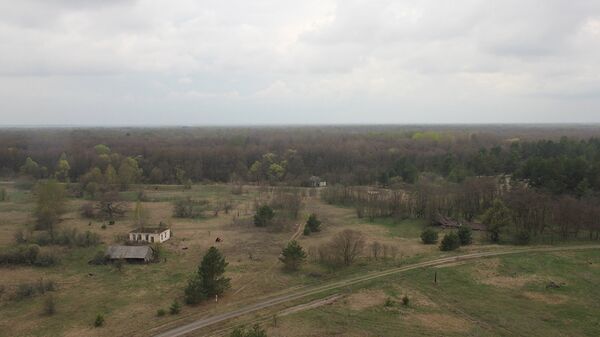 Природа в зоне выглядит пасторально Природа в зоне выглядит пасторально - Sputnik Узбекистан