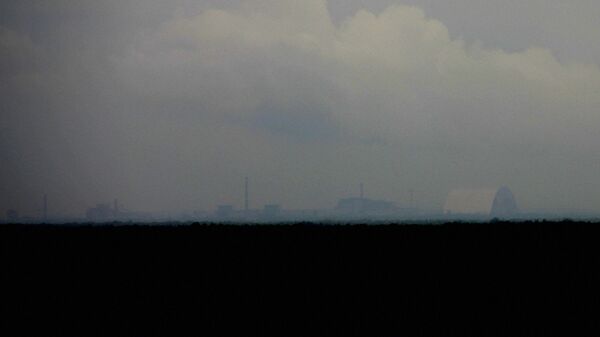 С тридцатиметровой вышки видны очертания Чернобыля С тридцатиметровой вышки видны очертания Чернобыля - Sputnik Узбекистан