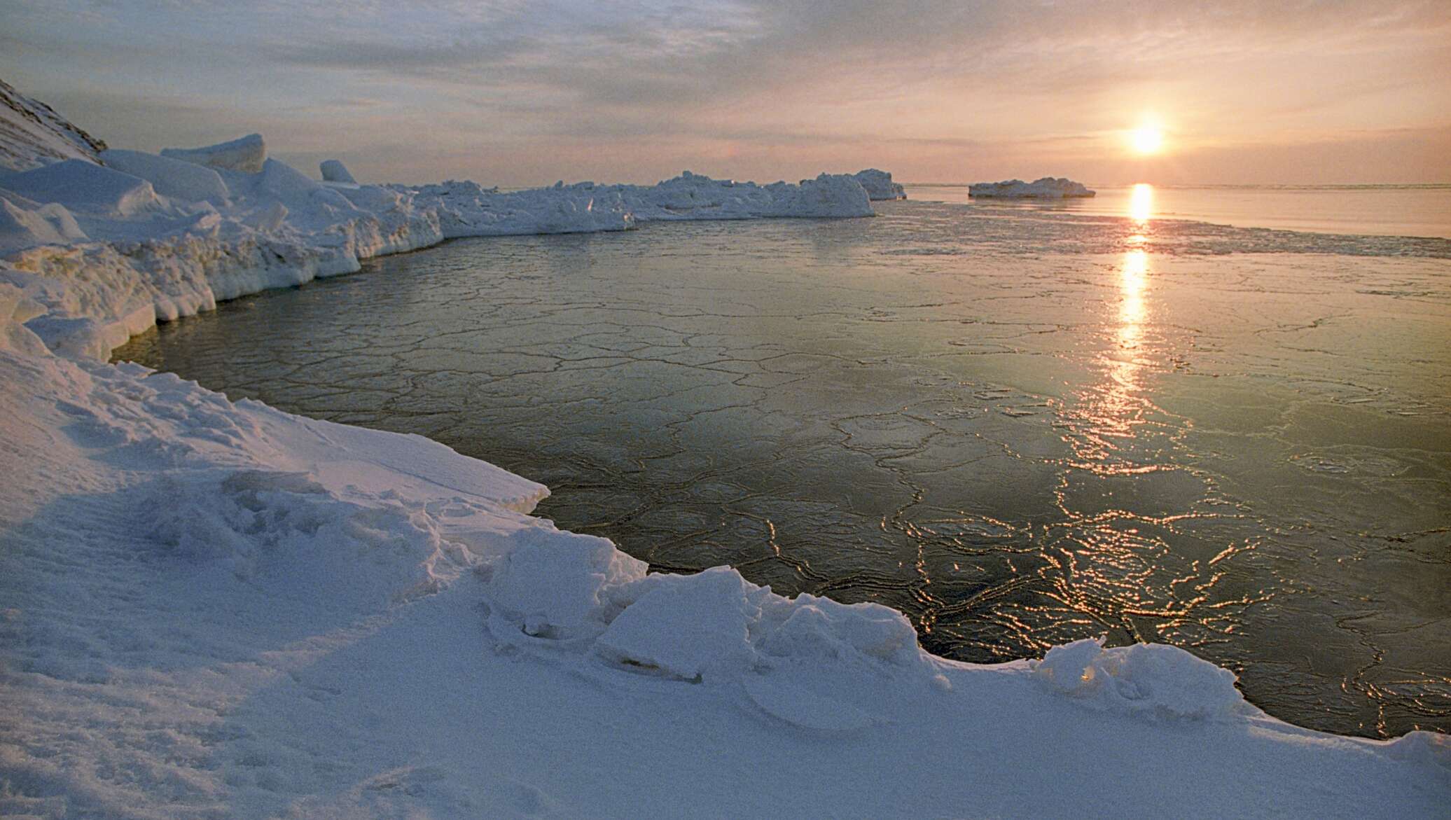 Восточно сибирское море. Восточно Сибирское море ледовитость. Побережье Арктики. Море Север. Северное побережье Арктики.