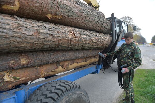 Дозиметрический контроль древесины Дозиметрический контроль древесины - Sputnik Узбекистан