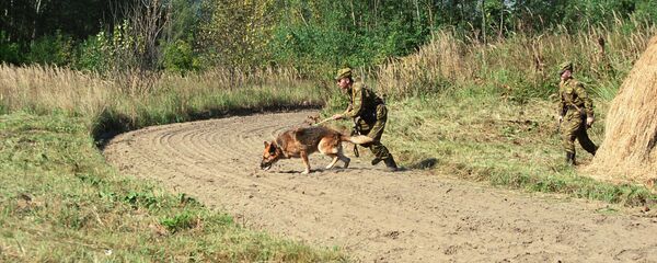 Чегарачилар иш устида Чегарачилар иш устида - Sputnik Ўзбекистон