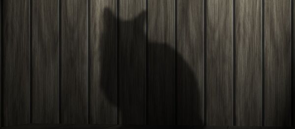 Тень кота - Sputnik Узбекистан