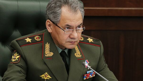 Министр обороны РФ генерал армии Сергей Шойгу - Sputnik Узбекистан