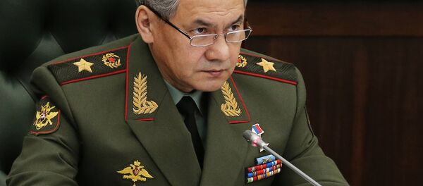 Министр обороны РФ генерал армии Сергей Шойгу Министр обороны РФ генерал армии Сергей Шойгу - Sputnik Ўзбекистон