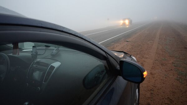 Утренний туман по дороге - Sputnik Узбекистан