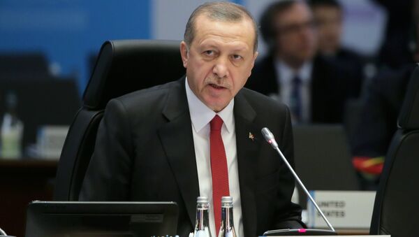 Президент Турции Тайип Эрдоган - Sputnik Ўзбекистон