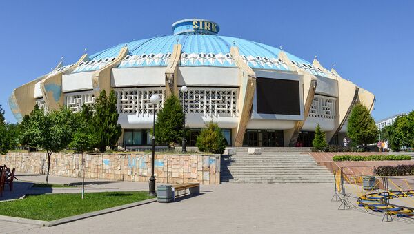 Ташкентский цирк - Sputnik Узбекистан