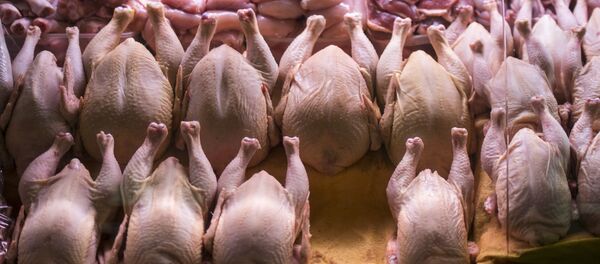 Даниловский рынок в Москве Даниловский рынок в Москве - Sputnik Ўзбекистон