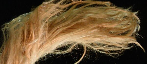 Волосы блондинки Волосы блондинки - Sputnik Узбекистан