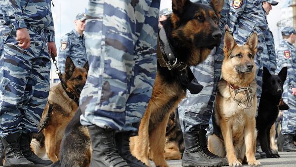 Служебные собаки кинологической службы  - Sputnik Узбекистан