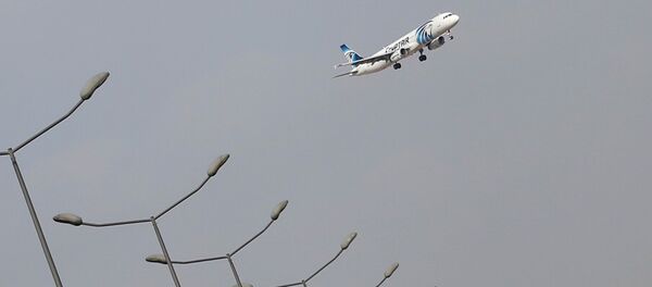 EgyptAir авиакомпанирясига қарашли самолёт EgyptAir авиакомпанирясига қарашли самолёт - Sputnik Ўзбекистон