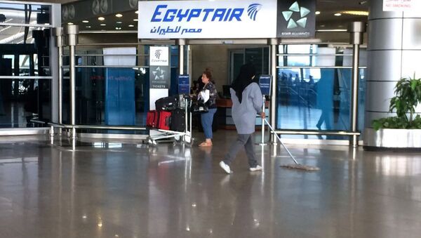 Лого авиакомпании EgyptAir Национальном аэропорту Египта - Sputnik Узбекистан