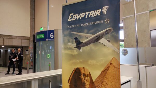 Постер авиакомпании EgyptAir Национальном аэропорту Египта - Sputnik Узбекистан