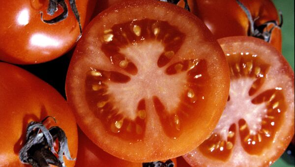 Pomidorlar - Sputnik Oʻzbekiston
