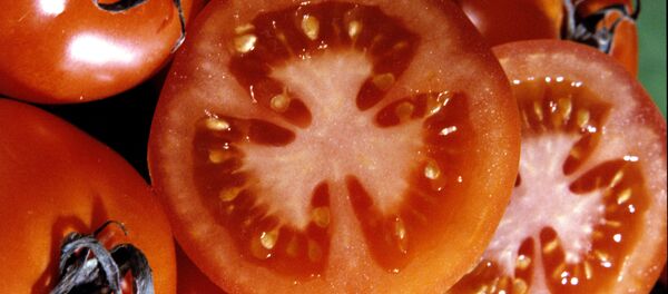 Помидоры Помидоры - Sputnik Ўзбекистон