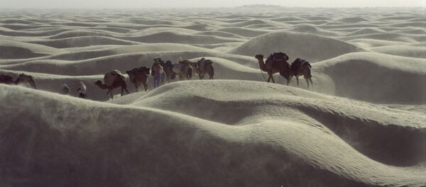 Караван идущий через пустыню - Sputnik Ўзбекистон