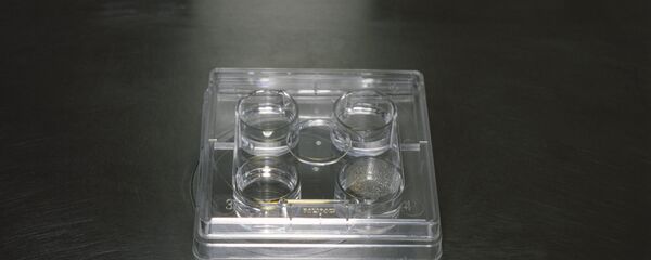 Препарат с эмбрионом - Sputnik Узбекистан