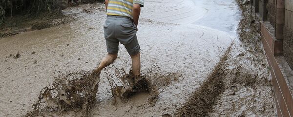 Последствия схода селевого потока Последствия схода селевого потока - Sputnik Узбекистан