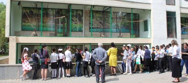 Ташкентский зоопарк Ташкентский зоопарк - Sputnik Узбекистан