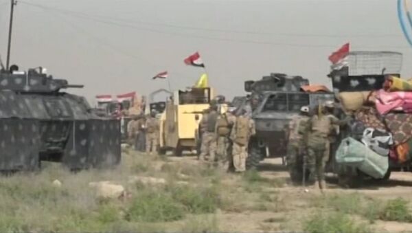 Наступление иракской армии на захваченный боевиками ИГ Эль-Фаллуджа - Sputnik Узбекистан