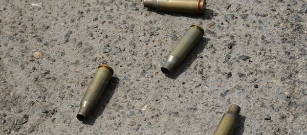 Гильзы от патронов - Sputnik Узбекистан
